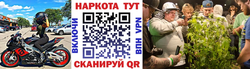 Купить наркоту Кедровый Каннабис МЕФ omg вход ГАШ