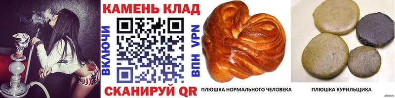 ГАШ индика сатива  купить наркоту  Кедровый 