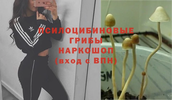 дживик Абаза