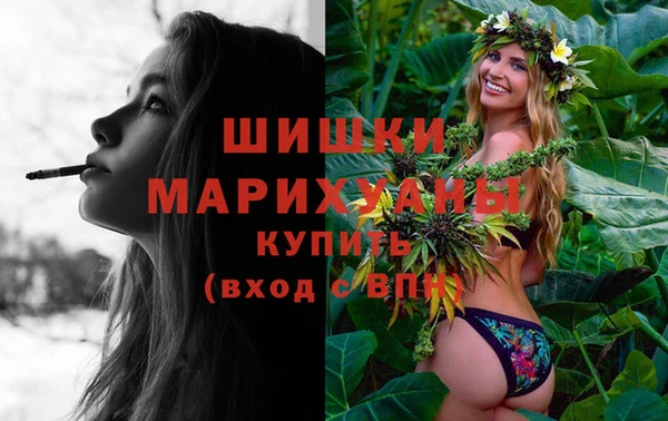 дживик Абаза
