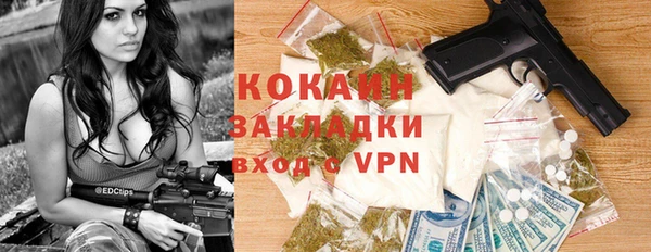 дживик Абаза