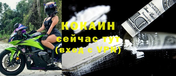 дживик Абаза
