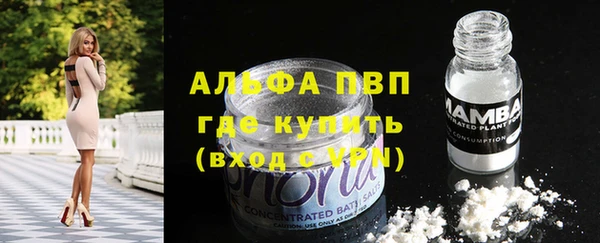 дживик Абаза